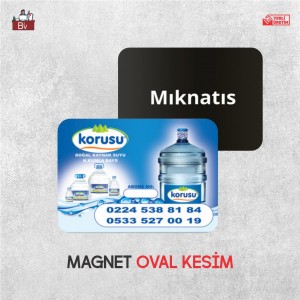 Magnet 