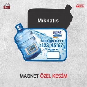 Magnet 