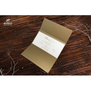 Erdem-50587